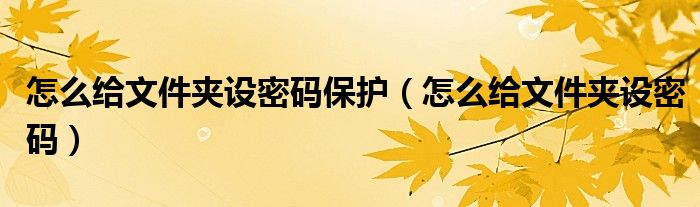 怎么给文件夹设密码保护(怎么给文件夹设密码)