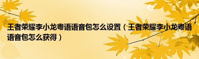 王者荣耀李小龙粤语语音包怎么设置(王者荣耀李小龙粤语语音包怎么获得)