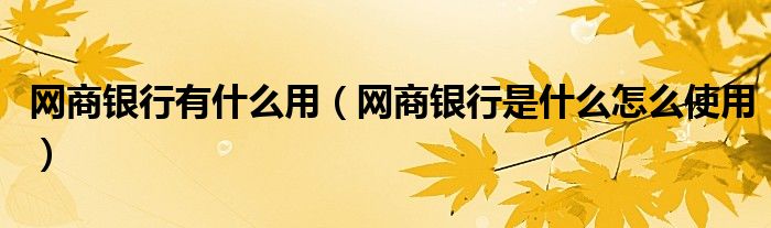 网商银行有什么用(网商银行是什么怎么使用)