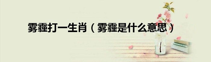 雾霾打一生肖(雾霾是什么意思)