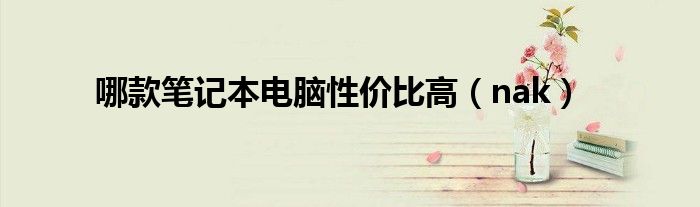 哪款笔记本电脑性价比高(nak)