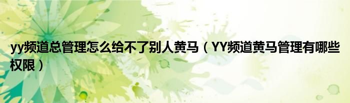 yy频道总管理怎么给不了别人黄马(YY频道黄马管理有哪些权限)