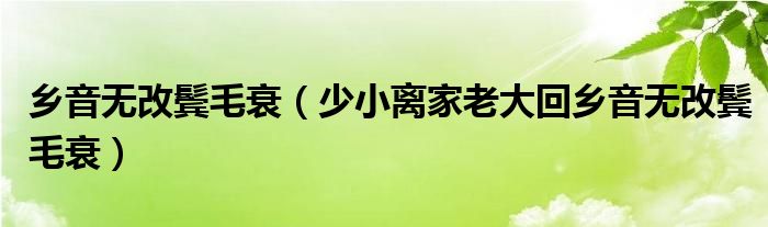 乡音无改鬓毛衰(少小离家老大回乡音无改鬓毛衰)