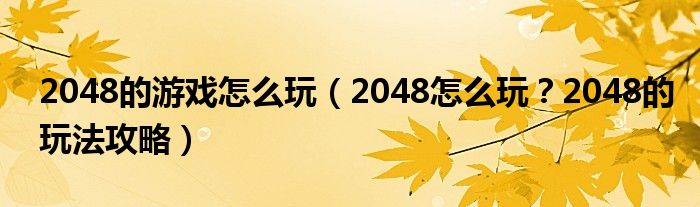 2048的游戏怎么玩(2048怎么玩?2048的玩法攻略)