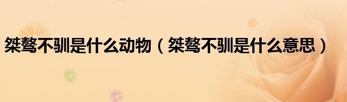 桀骜不驯是什么动物(桀骜不驯是什么意思)