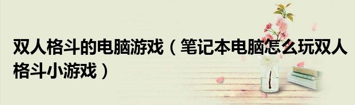 双人格斗的电脑游戏（笔记本电脑怎么玩双人格斗小游戏）