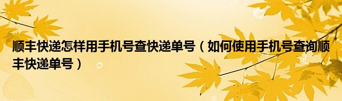 顺丰快递怎样用手机号查快递单号(如何使用手机号查询顺丰快递单号)