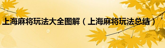 上海麻将玩法大全图解(上海麻将玩法总结)