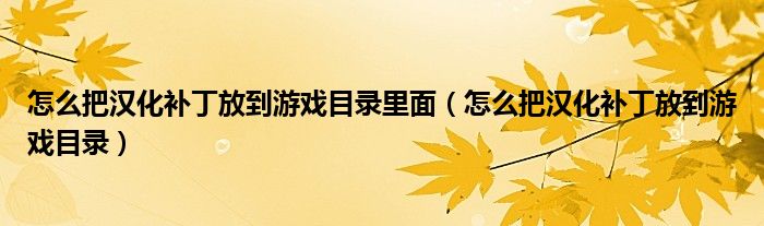 怎么把汉化补丁放到游戏目录里面（怎么把汉化补丁放到游戏目录）