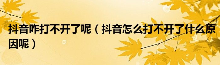 抖音咋打不开了呢(抖音怎么打不开了什么原因呢)