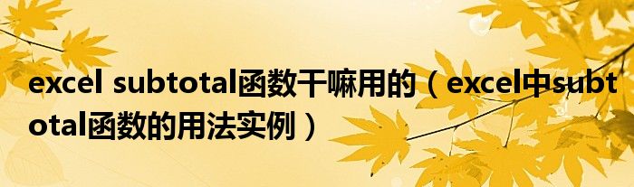excel subtotal函数干嘛用的(excel中subtotal函数的用法实例)