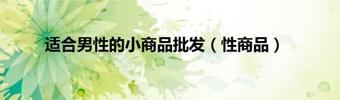 适合男性的小商品批发(性商品)