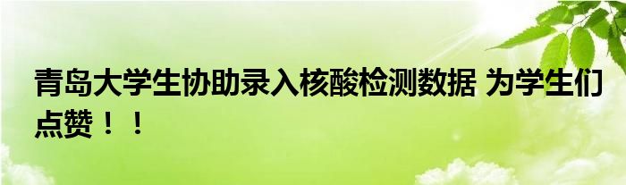青岛大学生协助录入核酸检测数据 为学生们点赞!!