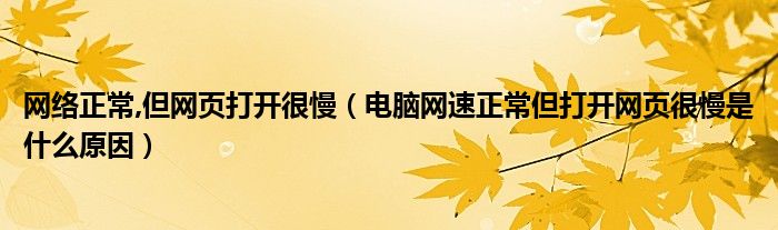 网络正常,但网页打开很慢(电脑网速正常但打开网页很慢是什么原因)