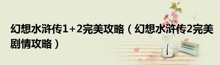 幻想水浒传1+2完美攻略(幻想水浒传2完美剧情攻略)