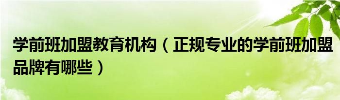 学前班加盟教育机构(正规专业的学前班加盟品牌有哪些)