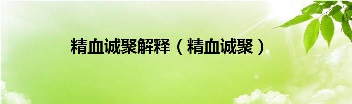 精血诚聚解释(精血诚聚)