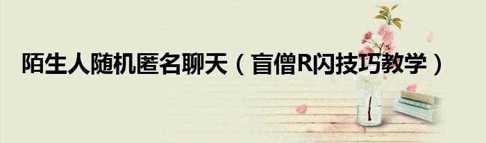 陌生人随机匿名聊天(盲僧R闪技巧教学)