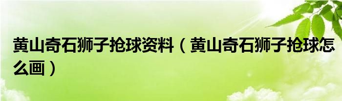 黄山奇石狮子抢球资料(黄山奇石狮子抢球怎么画)