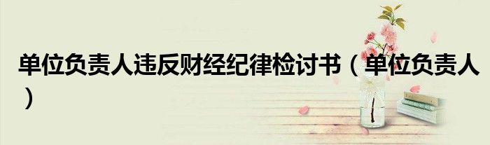单位负责人违反财经纪律检讨书(单位负责人)