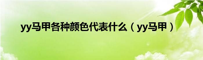yy马甲各种颜色代表什么(yy马甲)
