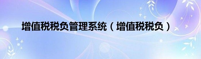 增值税税负管理系统(增值税税负)