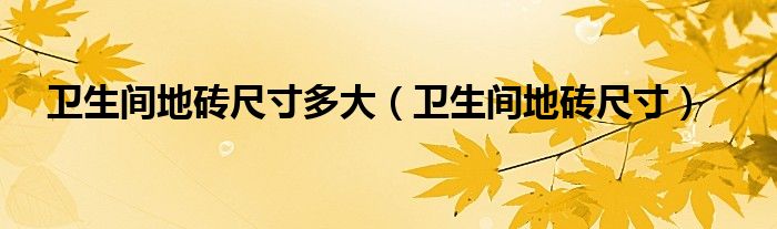 卫生间地砖尺寸多大(卫生间地砖尺寸)