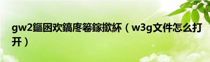 gw2鏂囦欢鎬庝箞鎵撳紑(w3g文件怎么打开)