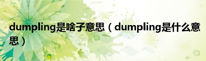 dumpling是啥子意思(dumpling是什么意思)