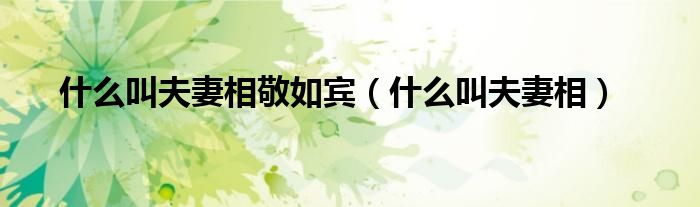 什么叫夫妻相敬如宾(什么叫夫妻相)