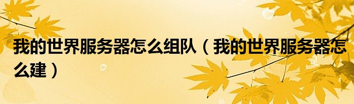 我的世界服务器怎么组队(我的世界服务器怎么建)