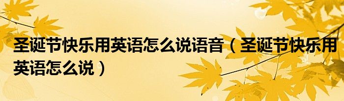 圣诞节快乐用英语怎么说语音(圣诞节快乐用英语怎么说)