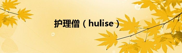 护理僧(hulise)