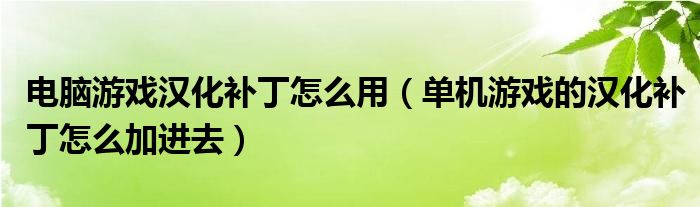 电脑游戏汉化补丁怎么用(单机游戏的汉化补丁怎么加进去)