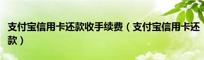 支付宝信用卡还款收手续费(支付宝信用卡还款)