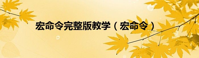 宏命令完整版教学(宏命令)