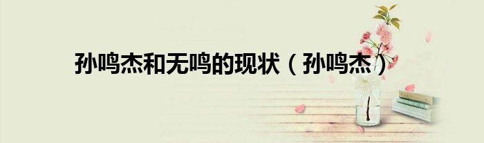 孙鸣杰和无鸣的现状(孙鸣杰)