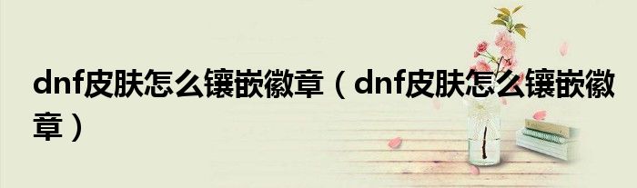 dnf皮肤怎么镶嵌徽章(dnf皮肤怎么镶嵌徽章)