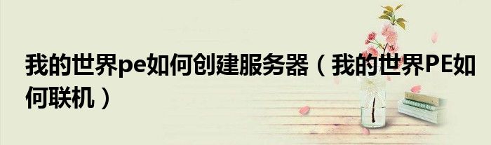 我的世界pe如何创建服务器(我的世界PE如何联机)