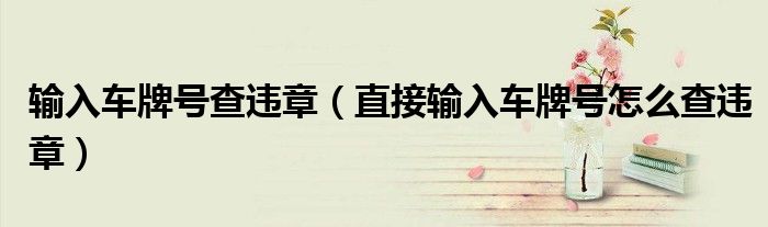 输入车牌号查违章(直接输入车牌号怎么查违章)