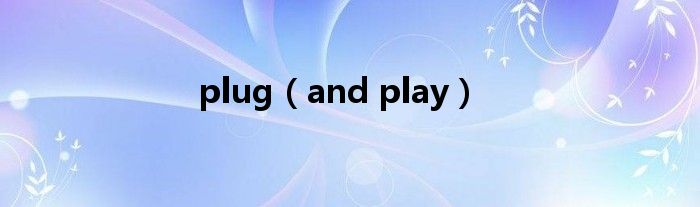 plug(and play)