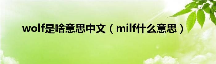 wolf是啥意思中文(milf什么意思)