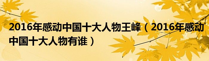 2016年感动中国十大人物王峰(2016年感动中国十大人物有谁)