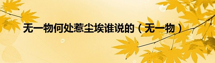 无一物何处惹尘埃谁说的(无一物)