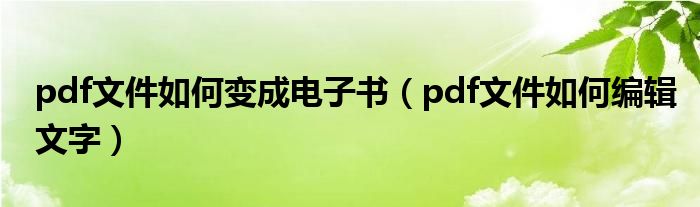 pdf文件如何变成电子书(pdf文件如何编辑文字)