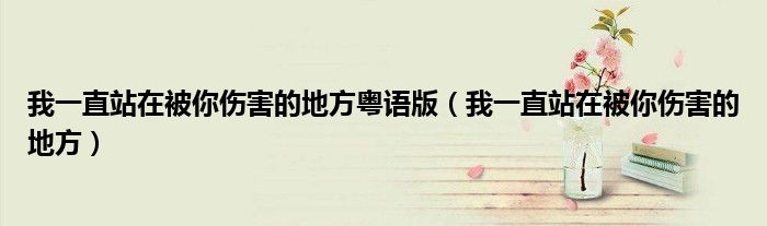 我一直站在被你伤害的地方粤语版(我一直站在被你伤害的地方)