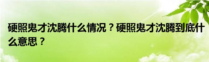 硬照鬼才沈腾什么情况?硬照鬼才沈腾到底什么意思?