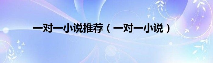 一对一小说推荐(一对一小说)