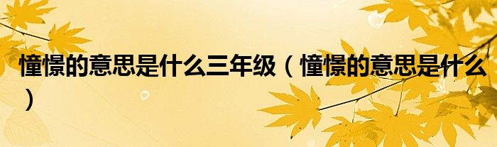 憧憬的意思是什么三年级(憧憬的意思是什么)