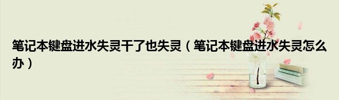 笔记本键盘进水失灵干了也失灵(笔记本键盘进水失灵怎么办)